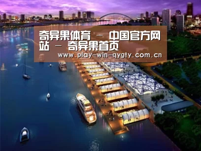 案例展示八
