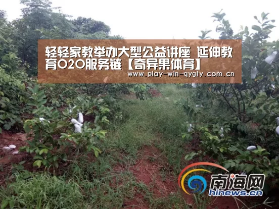轻轻家教举办大型公益讲座 延伸教育O2O服务链【奇异果体育】(图2) 奇异果体育